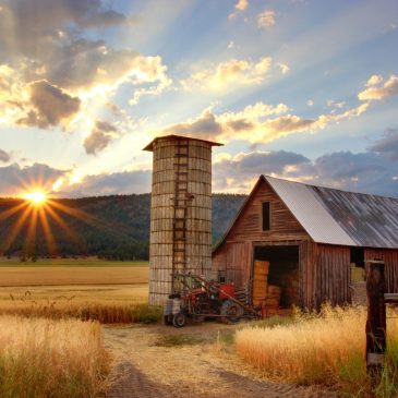 Christian Harvest Sunrise (Photo)